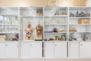 GYŐR - PROHÁSZKA OTTOKÁR ORSOLYITA GIMNÁZIUM, ÁLTALÁNOS ISKOLA ÉS ÓVODA