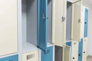 DEBRECENI NEMZETKÖZI ISKOLA (ISD)