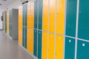 Csehország oktatási intézmény