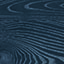 black sea 0210