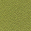 AN-BN. 7021