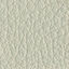 PE-C21