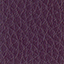 PE-C22