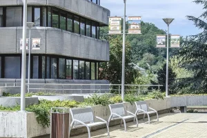 Salgótarján - Madrid padok, Virágládák