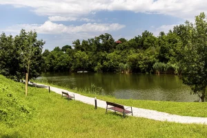 Gyomaendrőd