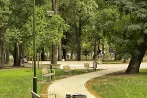 Budapest - Népkert 2013