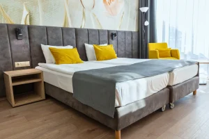 ZSÁMBÉK, SZÉPIA BIO & ART HOTEL